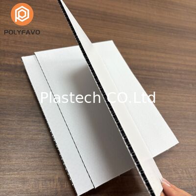 Zhongcheng Polypropylen-Wabenplatten-Lieferant Waben-Polypropylenplatte
