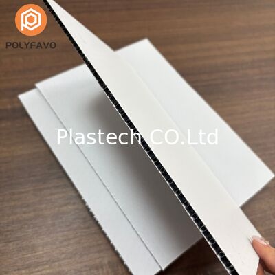 Zhongcheng Polypropylen-Wabenplattenspezialist 5mm 1600gsm Kunststoffplatte für Transport-Waben-Polypropylenplatte