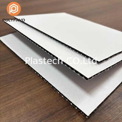 Zhongcheng Polypropylen-Wabenplattenspezialist 5mm 1600gsm Kunststoffplatte für Transport-Waben-Polypropylenplatte